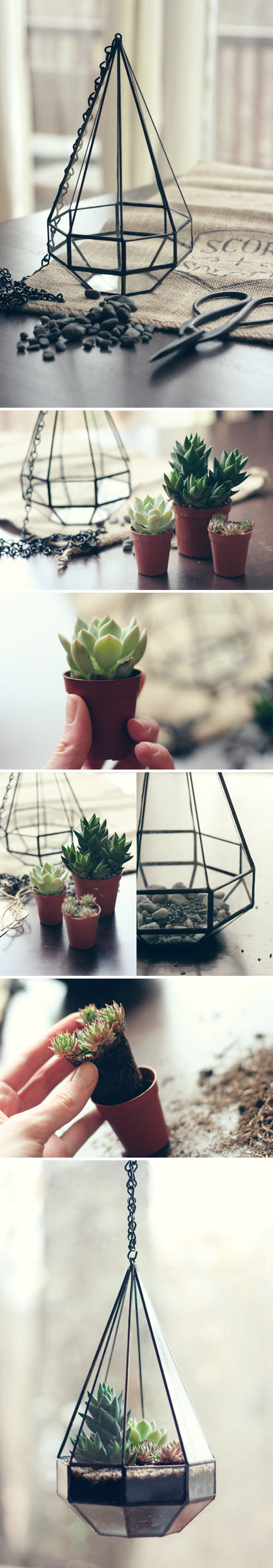 Score and solder terrarium Score and solder terrarium