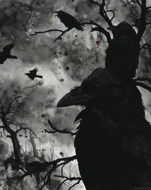 Black crows