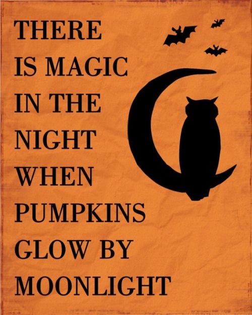 When pumpkins glow by moonlight When pumpkins glow by moonlight