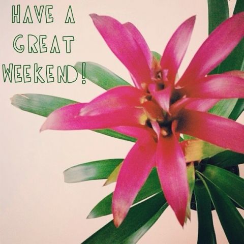 Have a great weekend