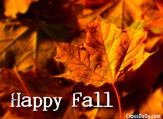 Happy Fall Happy Fall