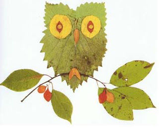 Owl leaf Owl leaf