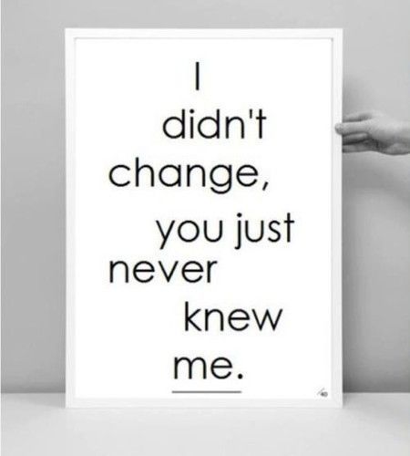I didnt change, you just never knew me I didnt change, you just never knew me