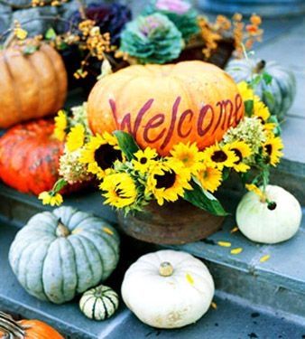 welcome welcome