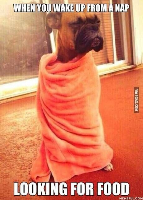 When you wake up from a nap When you wake up from a nap