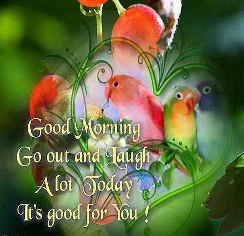 Good Morning
