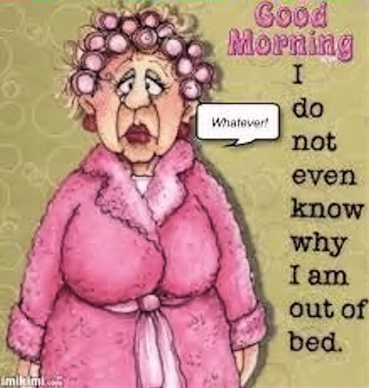 Good Morning Why Am I Out Of Bed Good Morning Why Am I Out Of Bed