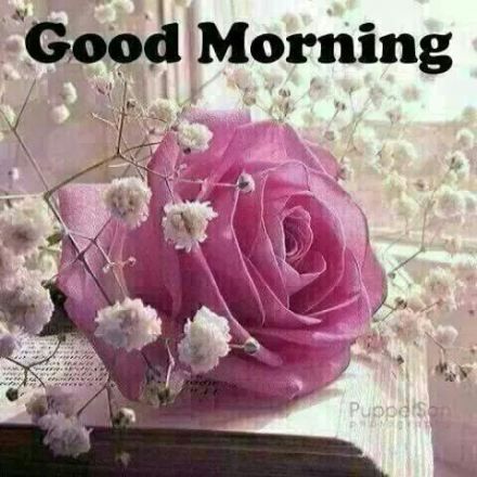 Good Morning