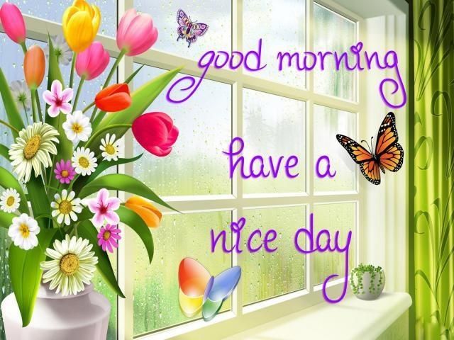 Good Morning Have A Nice Day Good Morning Have A Nice Day