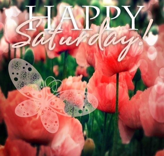 Happy Saturday