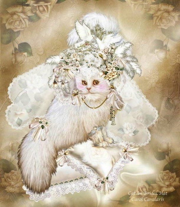 Cat in a Bridal Hat by Carol Cavalaris Cat in a Bridal Hat by Carol Cavalaris