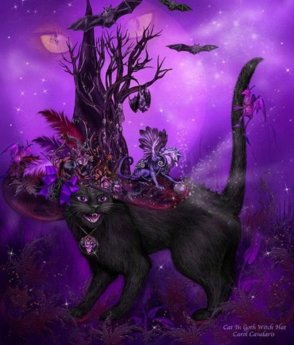 Cat in Goth Wtch Hat by Carol Cavalaris