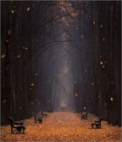 Beautiful Autumn