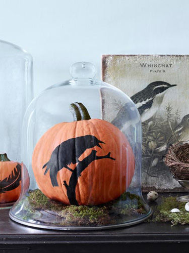 No carve raven pumpkin No carve raven pumpkin