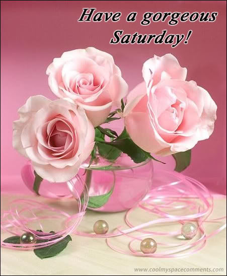 Have a Gorgeous Saturday Have a Gorgeous Saturday