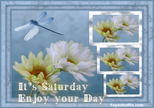 It's Saturday Enjoy Your Day It's Saturday Enjoy Your Day