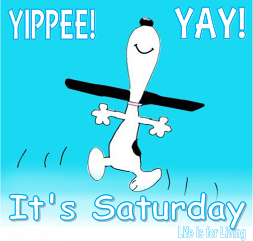 Yippee! Yay! It's Saturday!