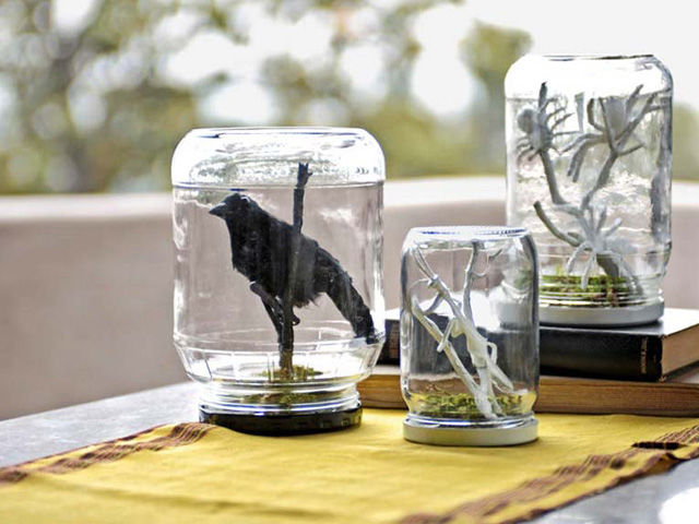 Spooky terrariums Spooky terrariums