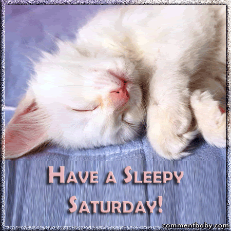 Have a sleepy Saturday Have a sleepy Saturday