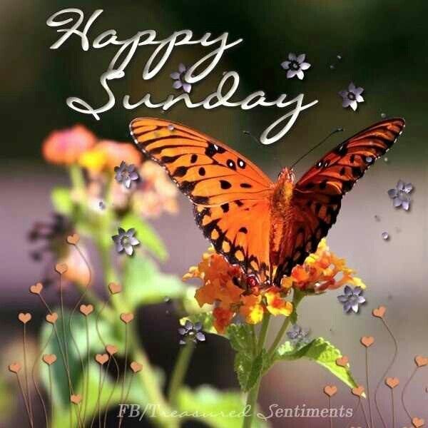 Happy Sunday