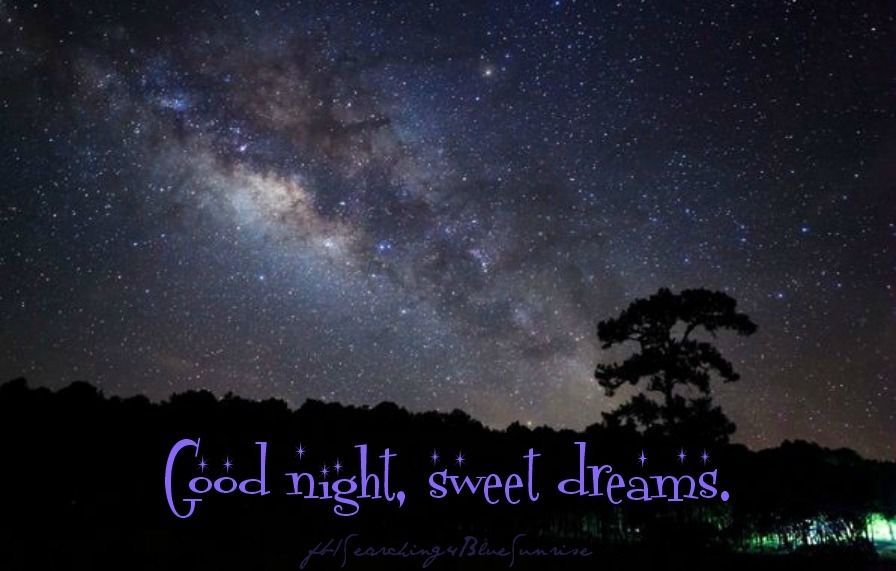 good night good night