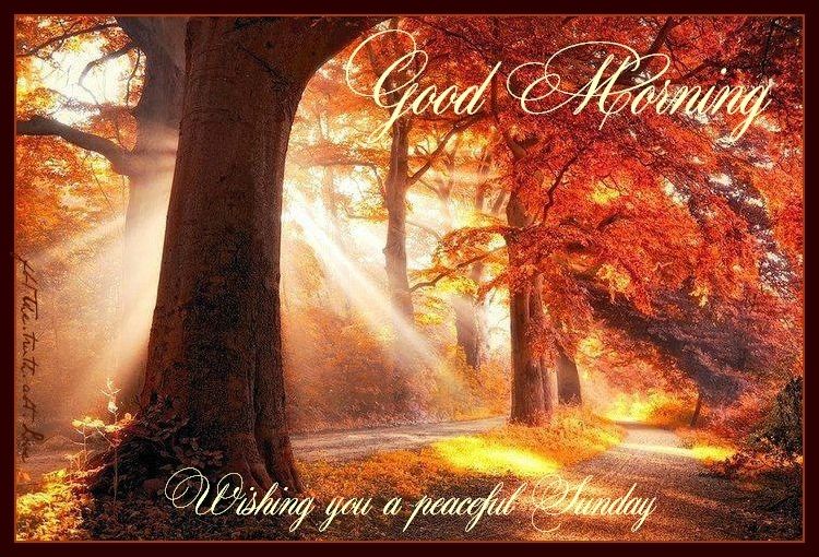 Good morning Good morning