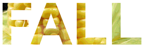 FALL