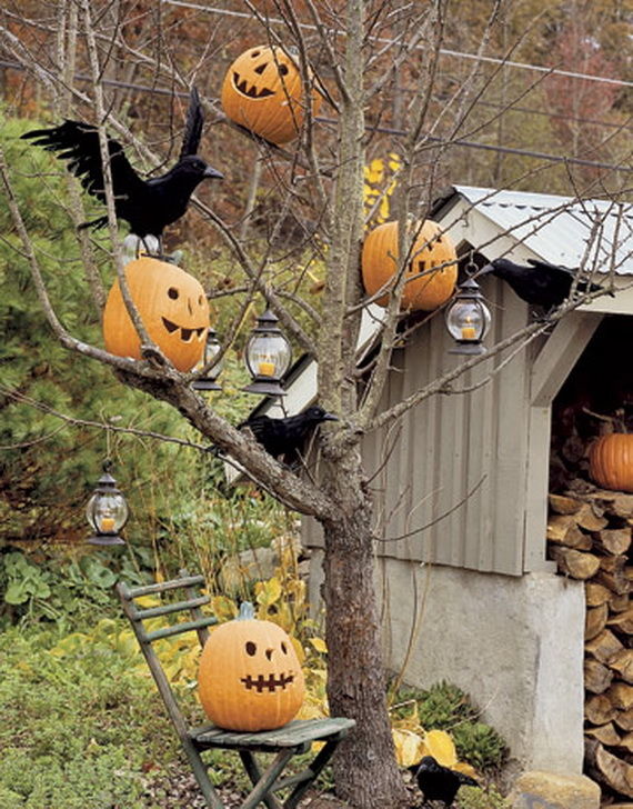 Pumpkins in tree