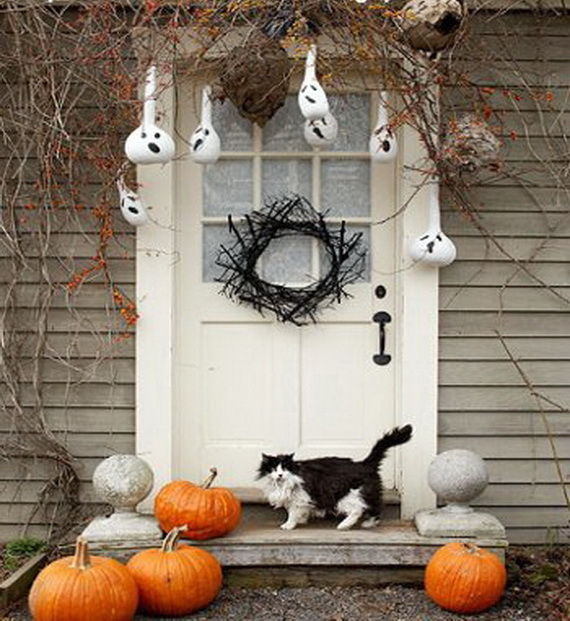 Pumpkins, Ghosts & a Scary Cat Pumpkins, Ghosts & a Scary Cat