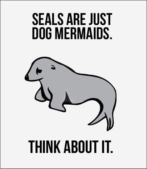 Seals are Seals are