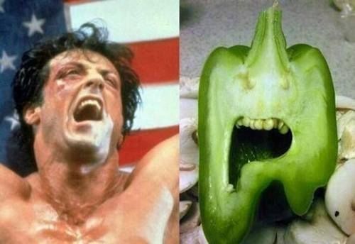 resembling one another resembling one another