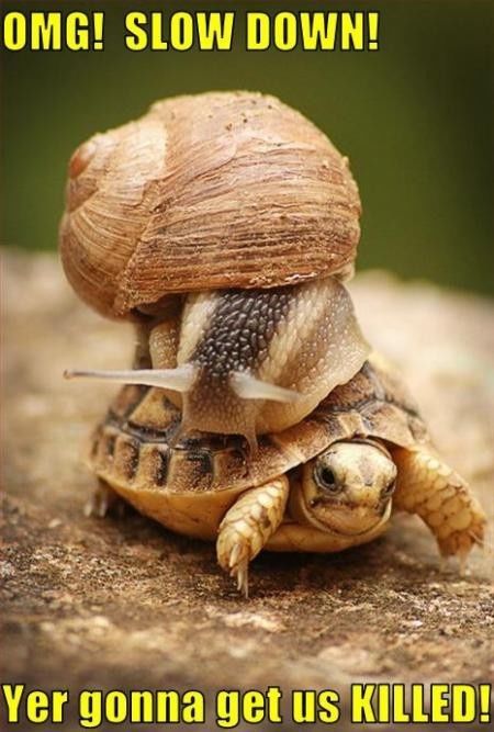OMG slow down