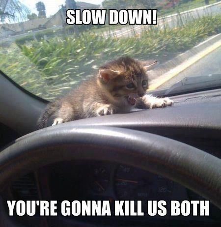 Slow down 