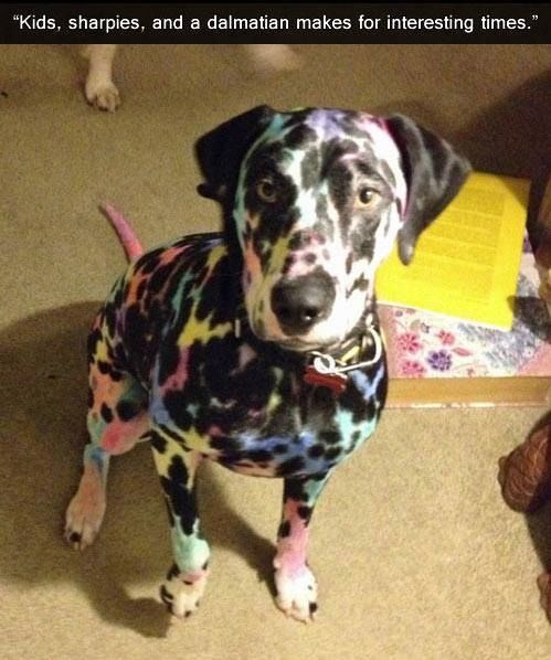 Kids sharpies and dalmation