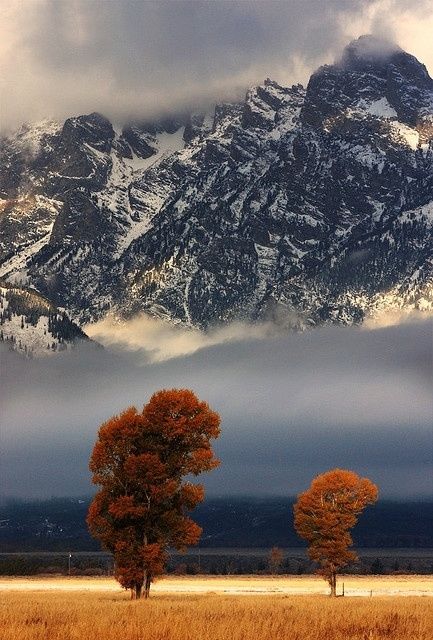 Fall in Wyoming Fall in Wyoming