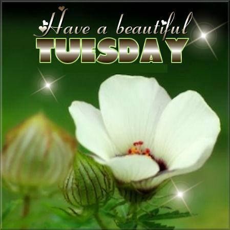 have a beautiful Tuesday