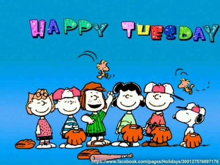 Happy Tuesday Happy Tuesday