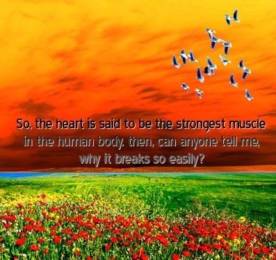 So the heart is said to be the strongest in the human body...