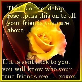 This is a friendship rose, pass it on to all your friends...