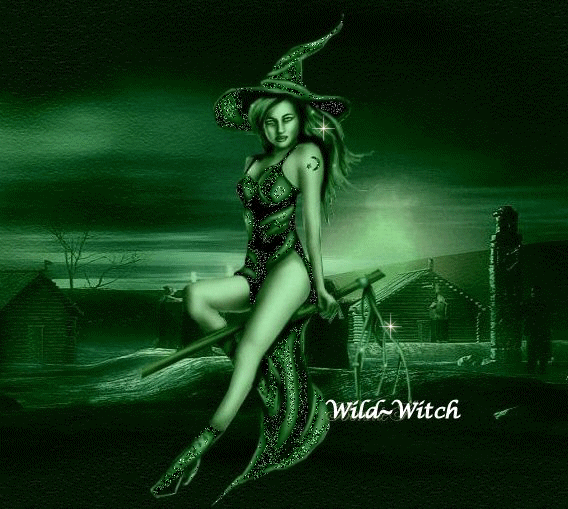 Wild Witch Wild Witch