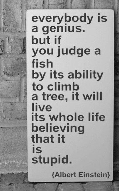 everybody is a genius