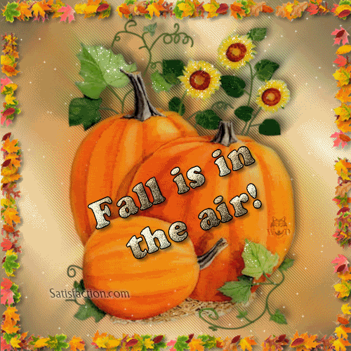 Fall is in the air Fall is in the air