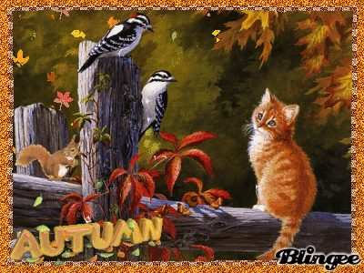 Autumn Autumn