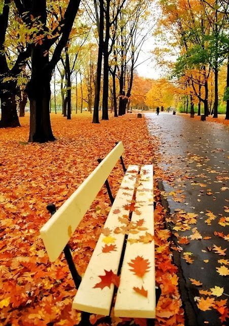 Park in Autumn Park in Autumn