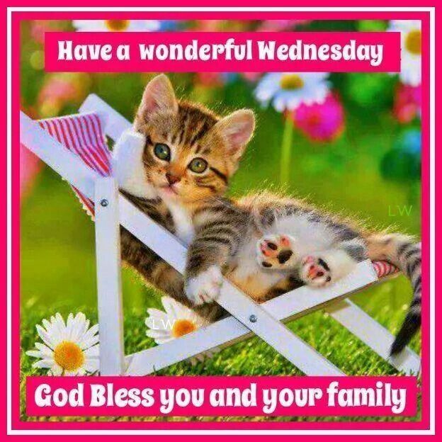 Have a wonderful Wednesday