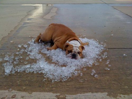 cooling off cooling off