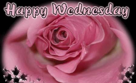 Happy Wednesday
