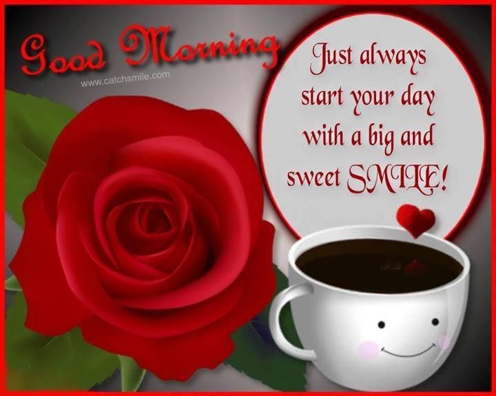 Good Morning Good Morning