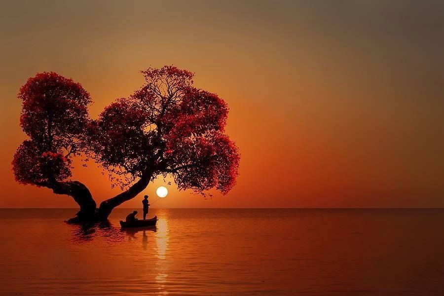 Fishing In The Moonlight!! Fishing In The Moonlight!!