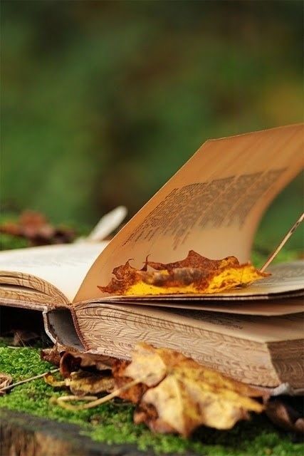 Believe in Books Believe in Books